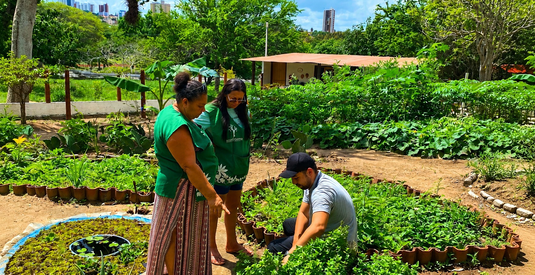 Atividades no quintal produtivo